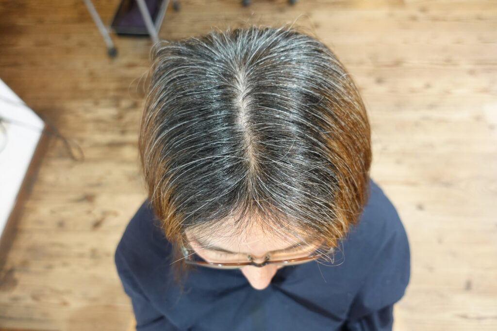 ヘナする前の白髪と髪のダメージの様子